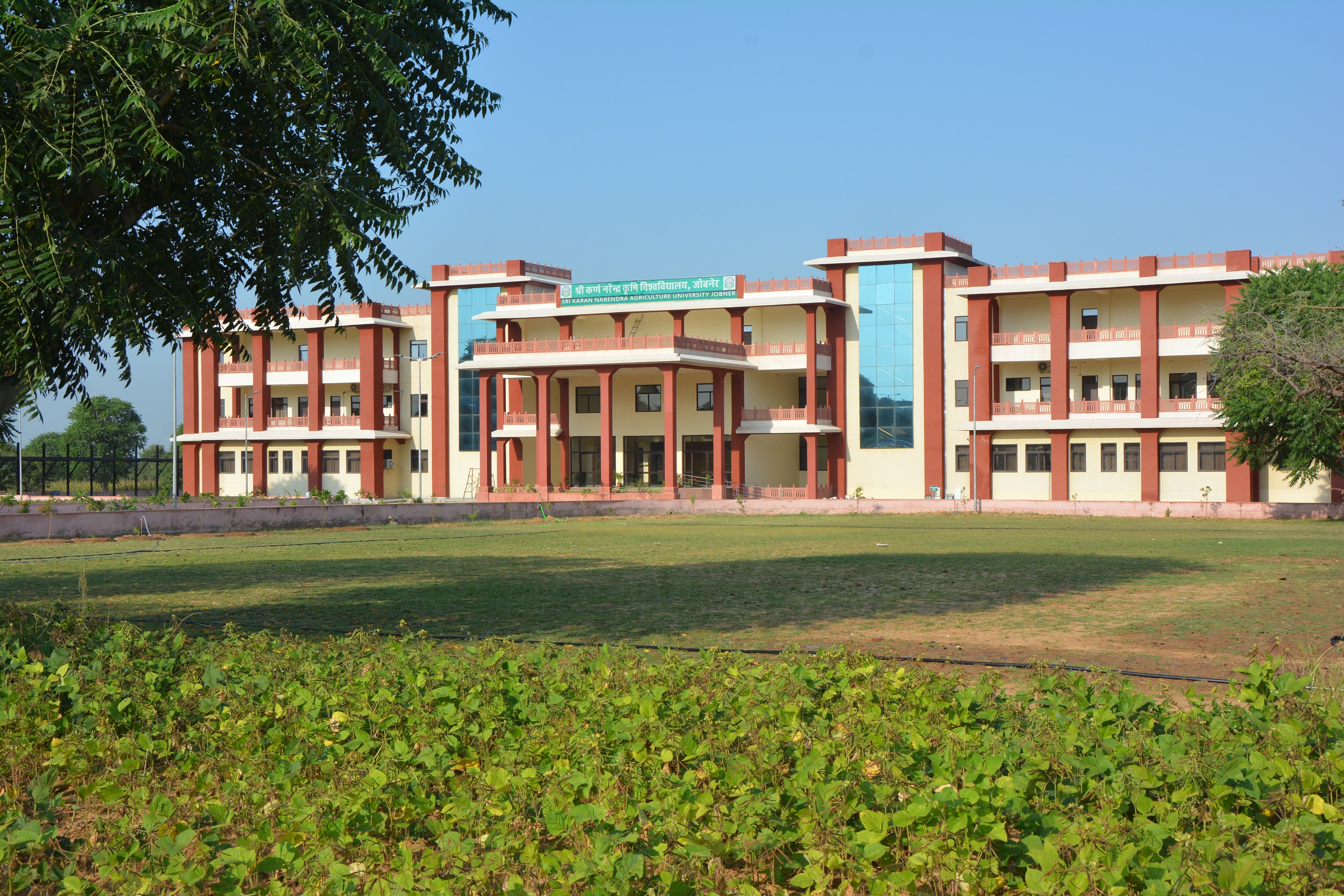 A beautiful view of SKNAU, Jobner