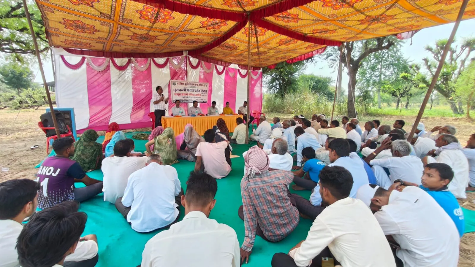 Field Day Groundnut