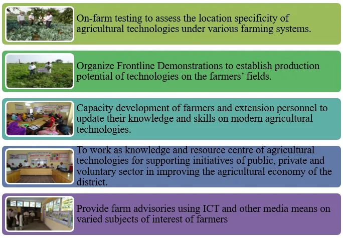 Aims and Objectives