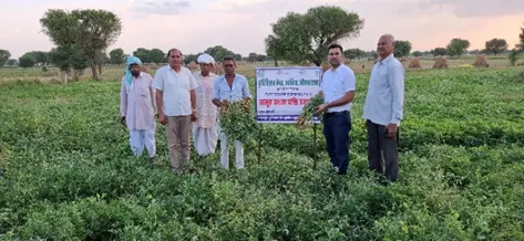 KVK Arnia Activity