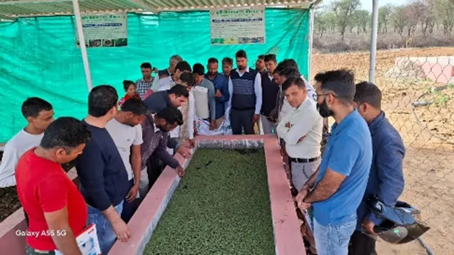 KVK Arnia Activity