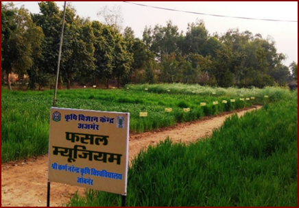 Crop Technology Park