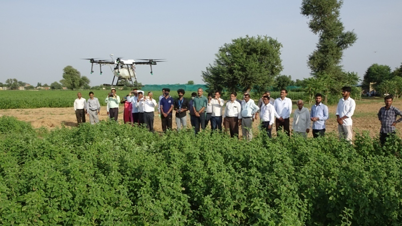 Important Activities 1