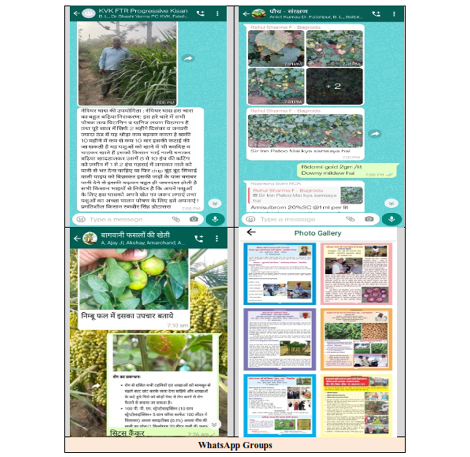 KVK Fatehpur Event 7