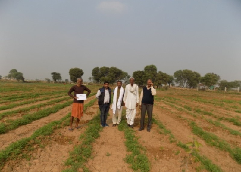 Farming system enterprises