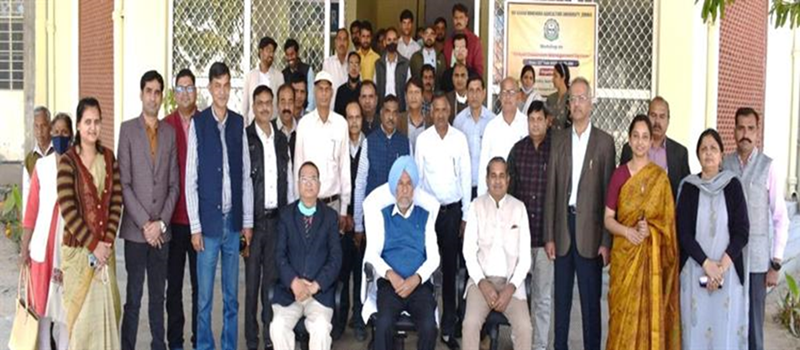 Virtual Classroom Workshop