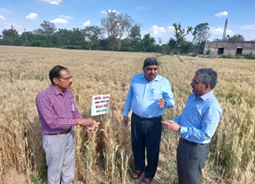 Visit by Hon’ble Vice Chancellor, SKNAU, Jobner