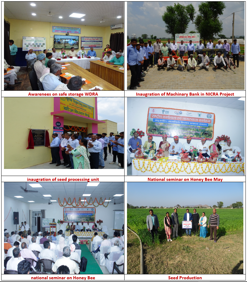 Important Activities 3